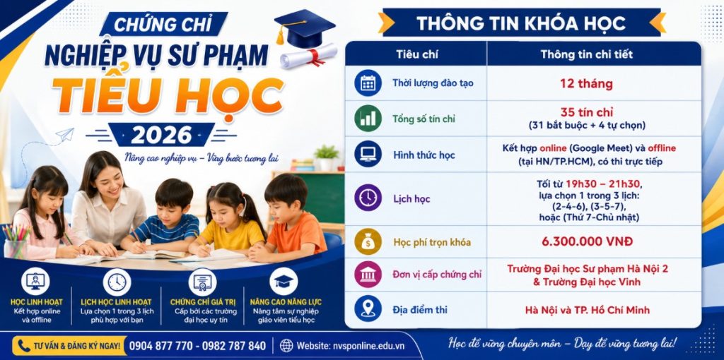 Chứng Chỉ Nghiệp Vụ Sư Phạm Tiểu Học 2026