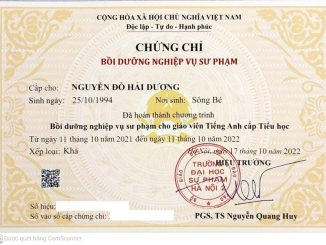 Nghiệp vụ sư phạm cho giáo viên dạy trình độ sơ cấp, trung cấp và cao đẳng