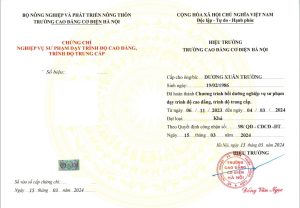 nvsp nghề trung cấp cao đẳng