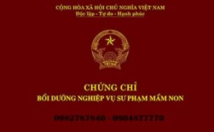 Chứng chỉ nghiệp vụ sư phạm mầm non