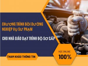 Nghiệp vụ sư phạm dạy trình độ sơ cấp Tháng 11