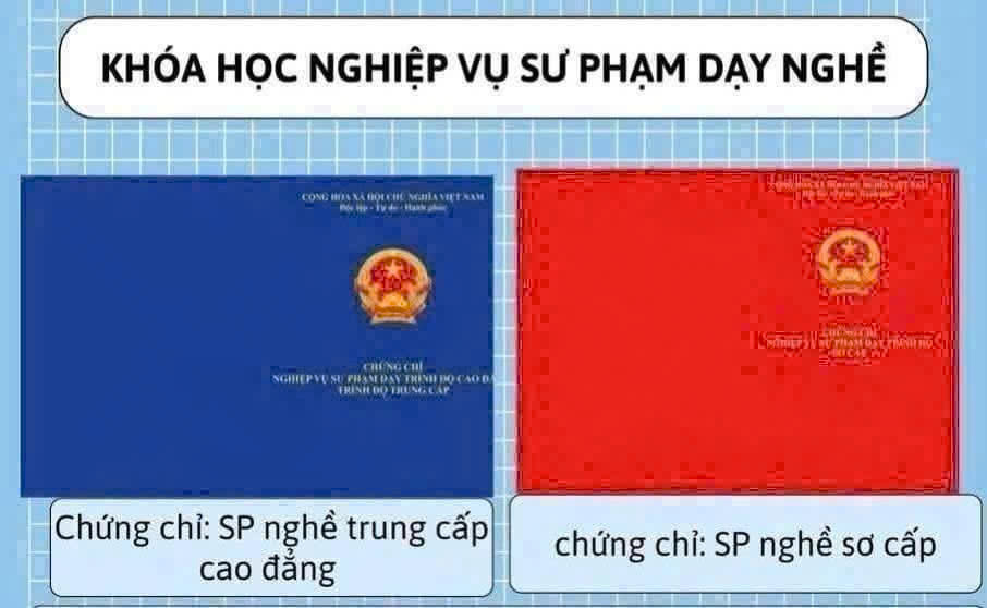 Khóa Học Nghiệp Vụ Sư Phạm Lái Xe