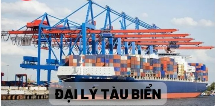 Khóa Học Nghiệp Vụ Đại Lý Tàu Biển